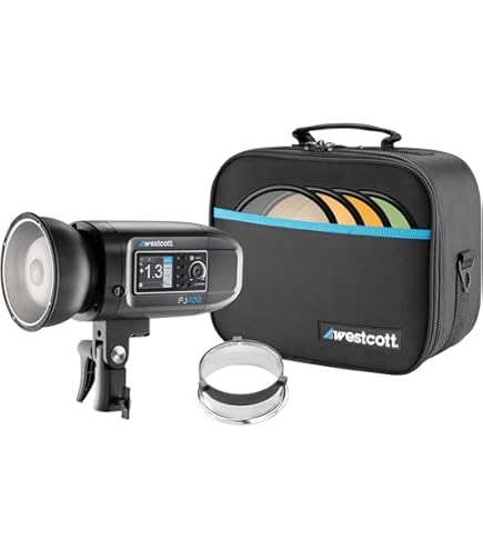 Amazon.com : Profoto D2 Duo 500/500 AirTTL 2-Light Kit